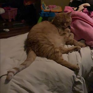 Meet your Posher, Anthony